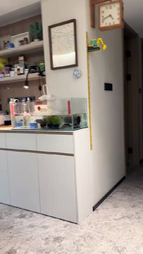 乌龟用洗碗刷挠痒引关注，外壳神经末梢可感知触感