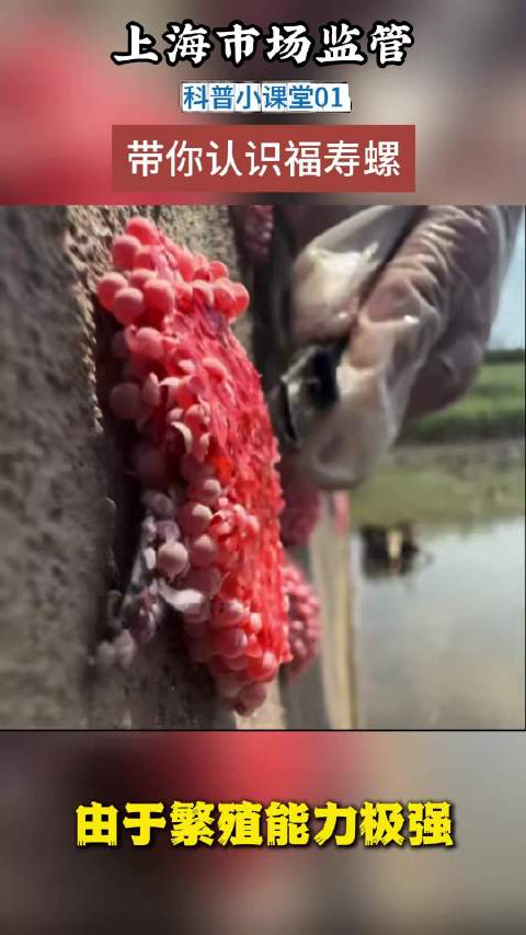 别吃！寄生虫多达6000条
