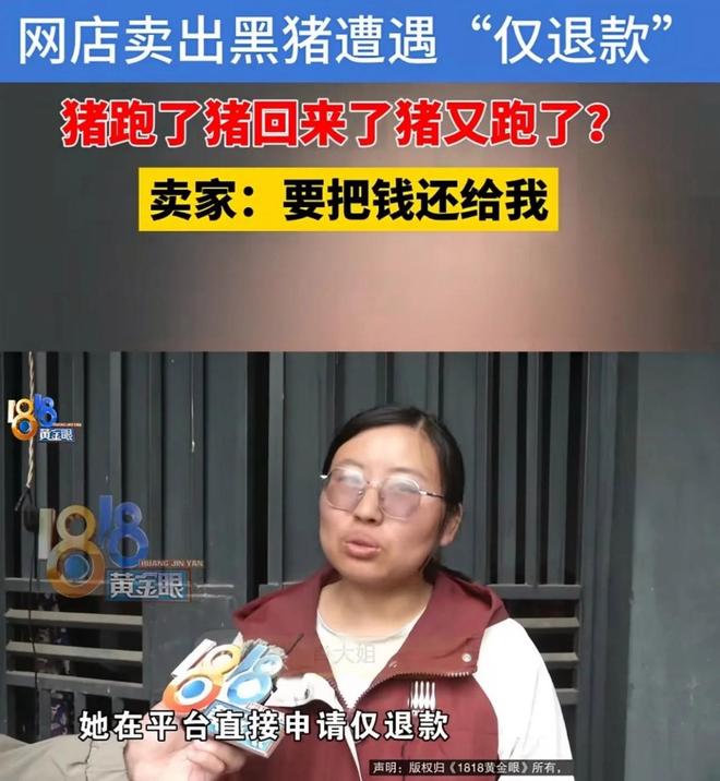 女子网售3头土黑猪，买家收货后说猪越狱。猪跑回后，凭啥不付钱|卖家|网店|客服|肖大姐|礼物功能_订阅