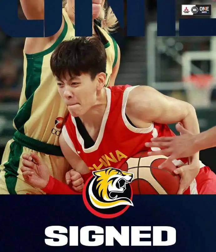 杨舒予赴NBL1联赛：背后暗藏的无声抗争与反思