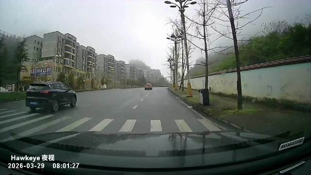 网友：前车刹车灯亮的时候我就预判到了，视频车还不减速