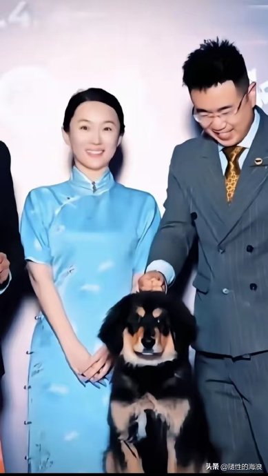 霍思燕的爱犬“杜尔衮”是什么犬种，夺冠含金量有多高？