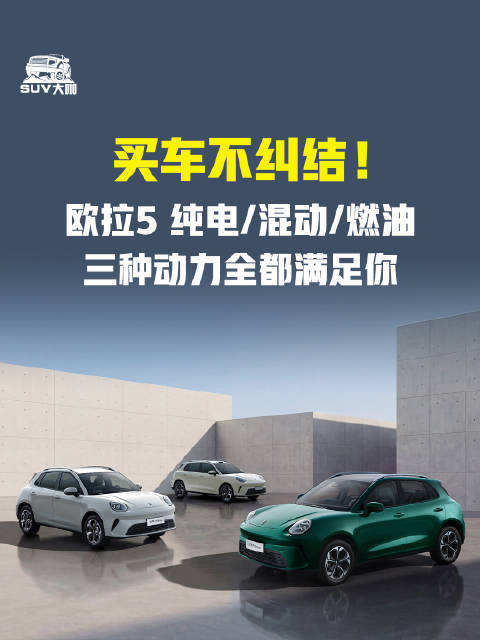 欧拉5上市，纯电混动燃油三动力可选
