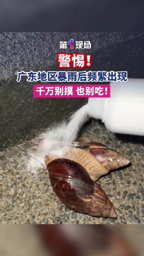 广东暴雨后这些东西千万别碰