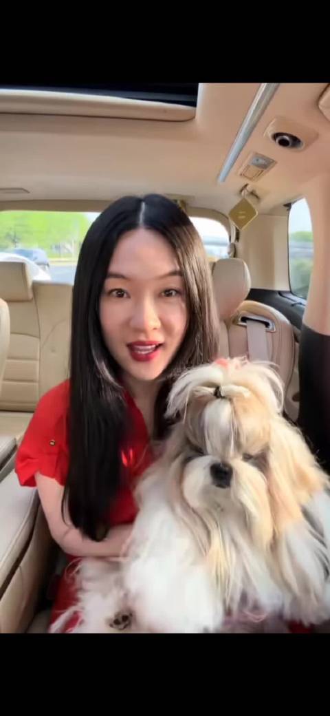 霍思燕爱犬霍蜜蜡庆生将赴意大利世界杯
