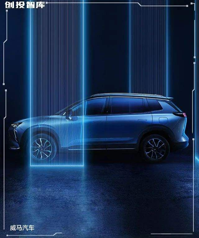 20亿美元交易落空,威马找到了杨澜夫妇