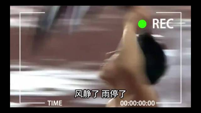 刘翔从跨栏传奇到退赛争议