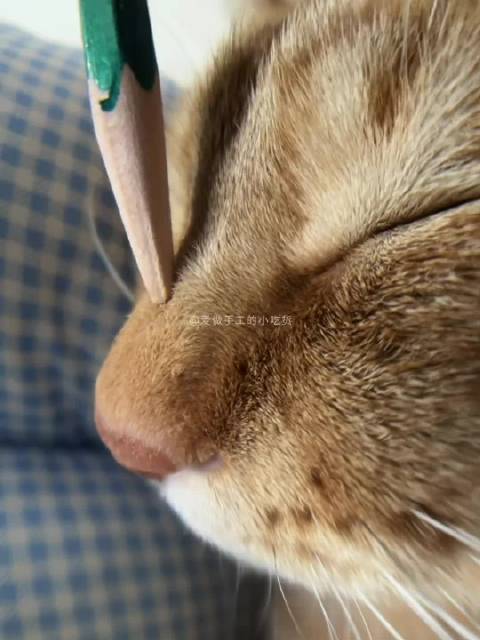 助眠解压视频与明星头像壁纸分享