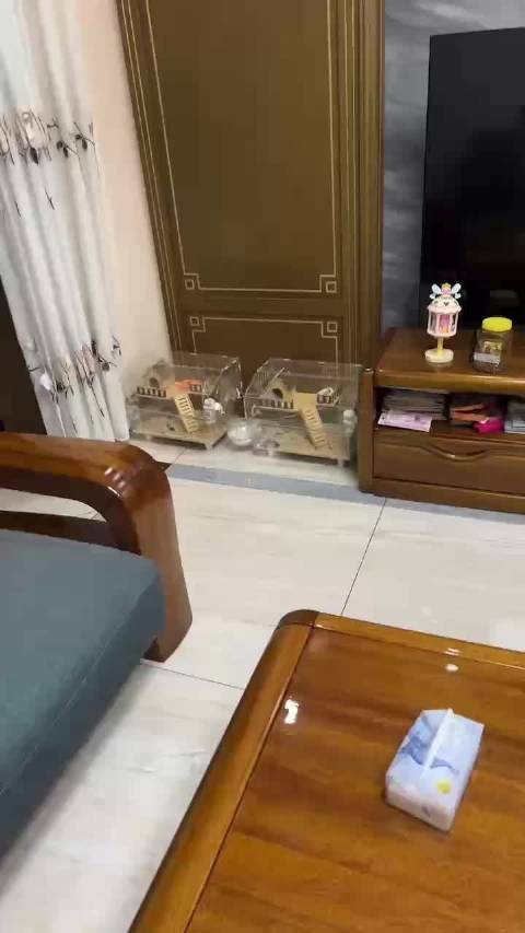又开始寻思咋越狱了