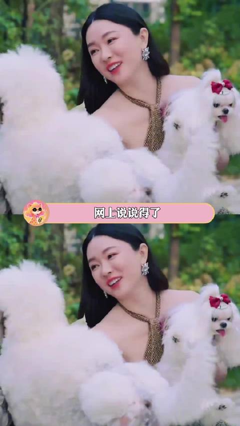 现实中谁不想赘给人美心善的仙女姐姐呢比格犬