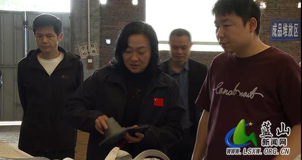 蓝山：以高水平生态保护推动县域经济高质量发展