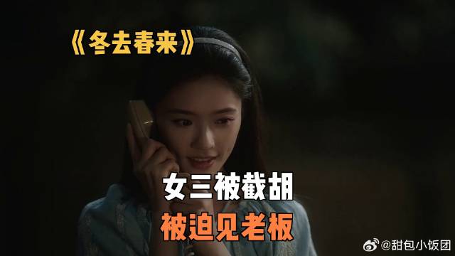 《冬去春来》女三被截胡，被迫见老板