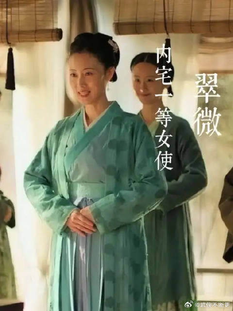 明兰战队里的顶级防御 全能辅助——翠微