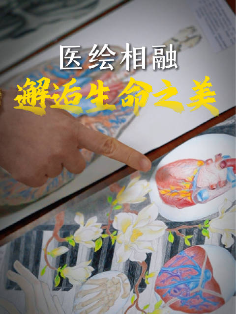 医绘相融，邂逅生命之美