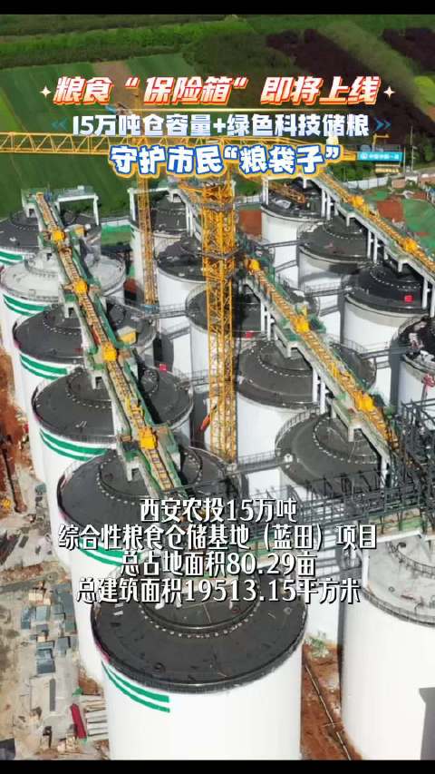 粮食“保险箱”即将上线，15万吨仓容量+绿色科技储粮，守护市民“粮袋子”