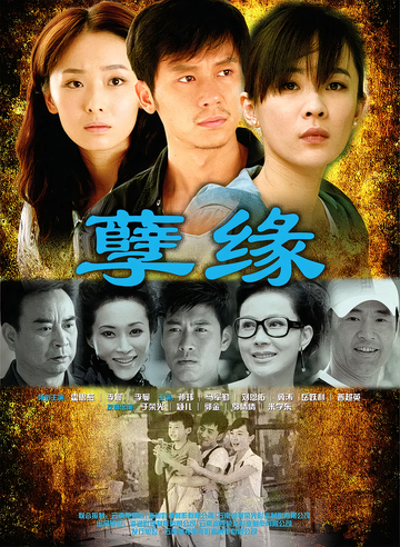 孽缘[2010年钟澍佳执导的电视剧]