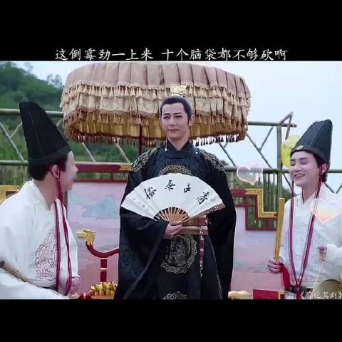 这嘴开光了，夸鸡都能给夸死 金晨 汪东城