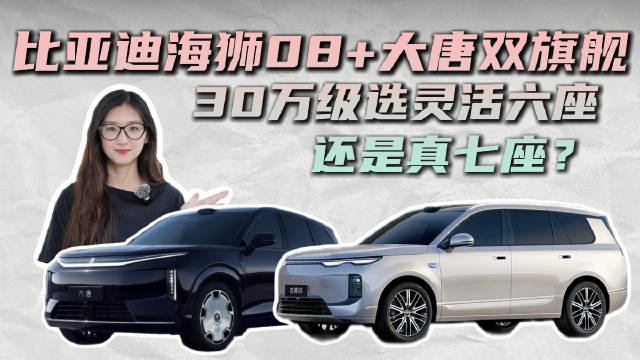 比亚迪的“双王”对决 该选海狮08的时尚还是大唐的稳重？