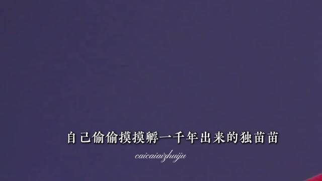 哪吒之魔童闹海敖丙三岁遭劫引众怒