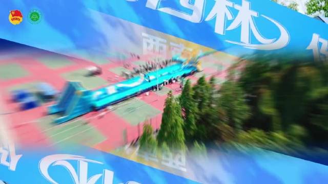 西南林大运动嘉年华展现青春活力