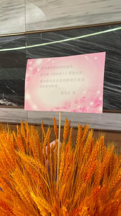 惠英红具体为刘浩存的哪些电影包场支持过？