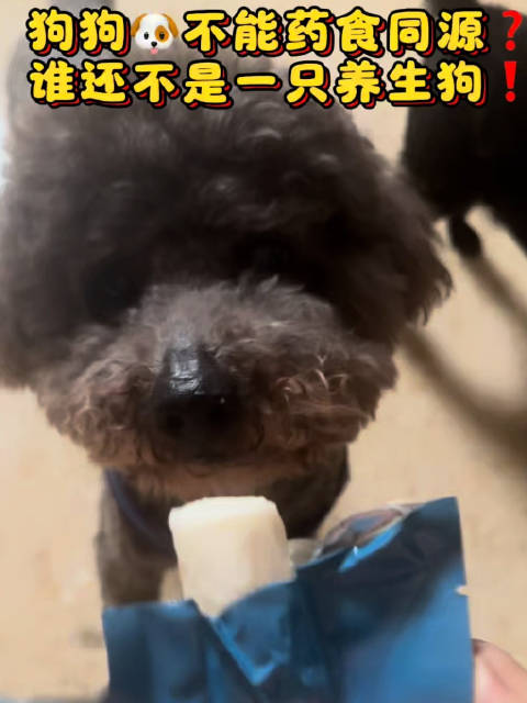 演员马赛分享铁棍山药食补日常，修勾同食引关注