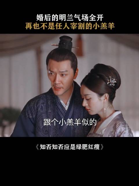明兰底气源于自身智慧与勇气，非顾二护佑