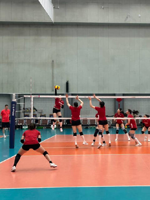 老将回归参训 中国女排全力备战新赛季赛事