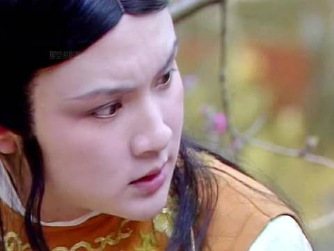 紫鹃到底说了什么？能让混世魔王贾宝玉瞬间崩溃，惊动整个贾府！ 红楼梦
