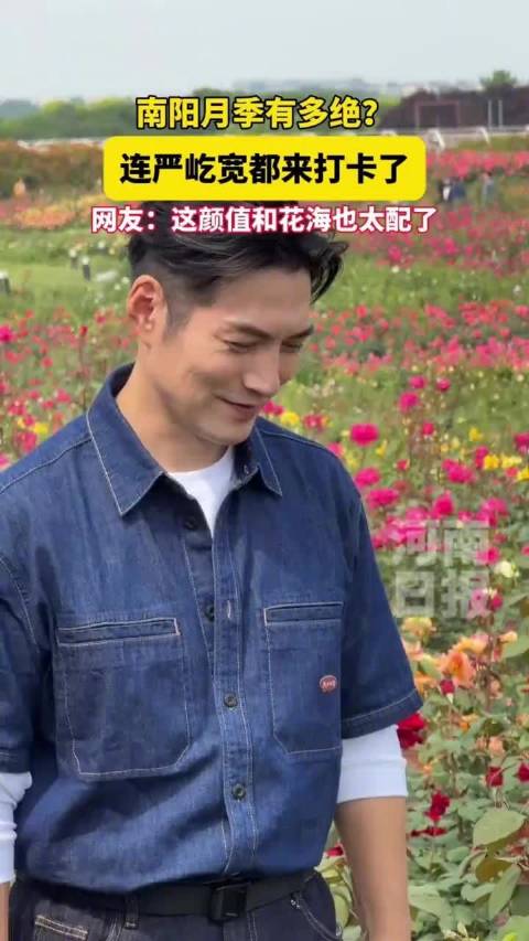 古装男神严屹宽打卡南阳月季