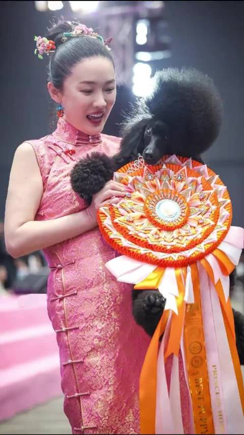 霍思燕携爱犬体检单只花费两三万
