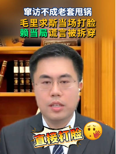 窜访不成老套甩锅 毛里求斯当场打脸 赖当局谎言被拆穿