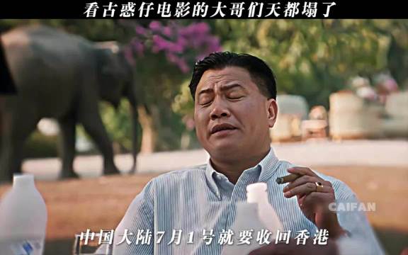 网友调侃：山鸡的鸡，原来是基层的基啊