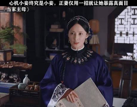 心机小妾终究是小妾当家主母