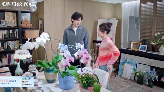 骄阳似我：聂曦光渣爹给她道歉林屿森安慰老婆结果更伤心了
