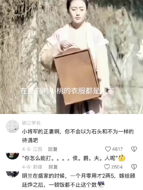 明兰出嫁前后小桃身份服饰变化