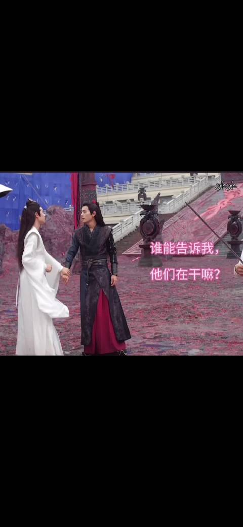 谁能告诉我，他们在干嘛，哈哈哈哈哈