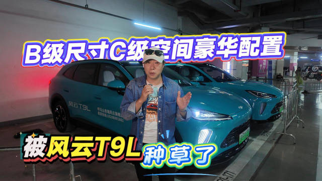 B级尺寸C级空间豪华配置 被风云T9L种草了