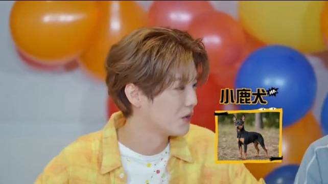 鹿晗自称小鹿犬萌翻全场,李小冉陈乔恩选队友欢乐互动