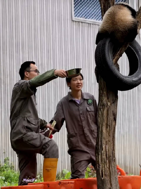 乔家大院拒送外卖，姚小八喝奶乔小九挂树