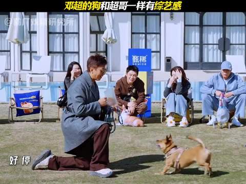 邓超携狗参加五哈节目，众星互动笑料不断