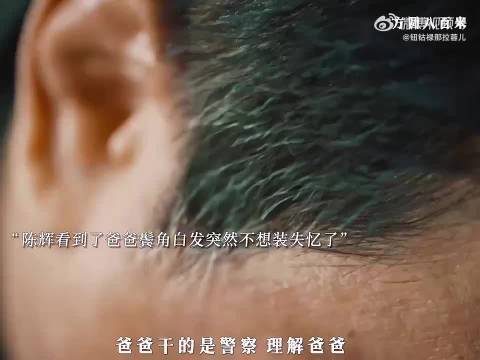 陈辉目睹父亲白发决定不再伪装失忆，丁勇岱许凯邓恩熙胡可涂松岩曲栅栅参演