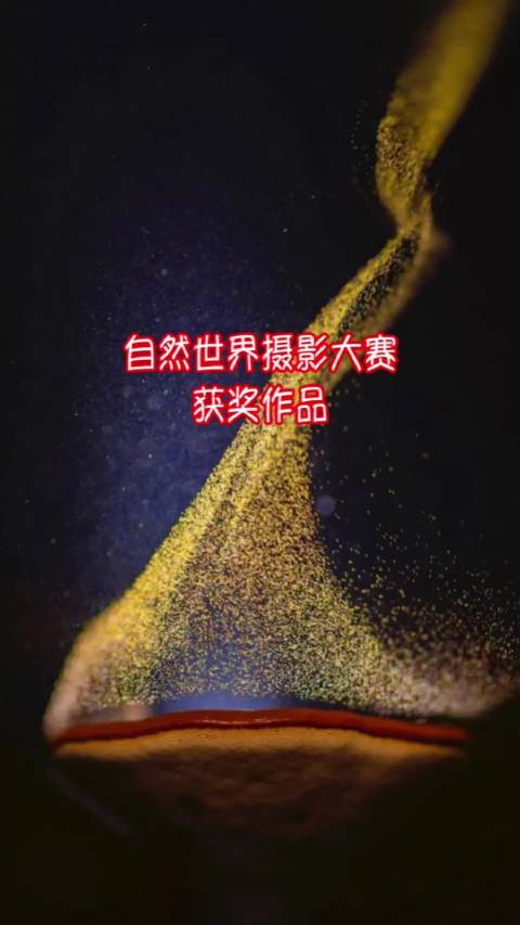 看看自然世界摄影大赛获奖作品