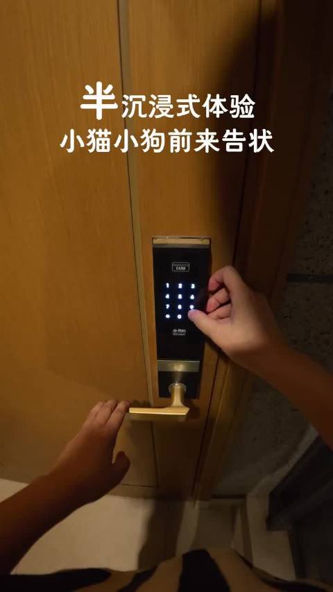 这是动物世界吗？为什么开门会有狮子王