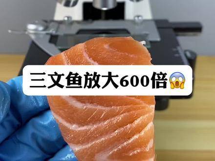 三文鱼体内真藏有寄生虫？