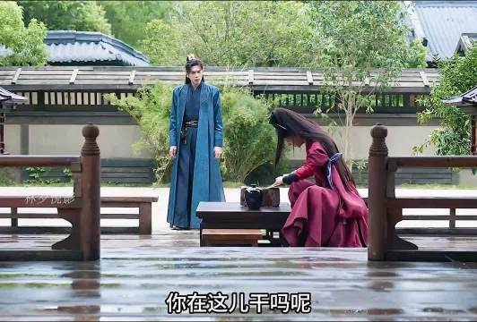 庆余年2叶灵儿行刺二皇子，范闲探望林婉儿
