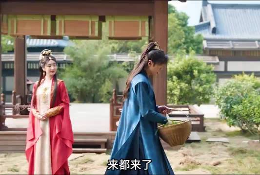 庆余年2大公主指骡为马,林婉儿霸气护夫