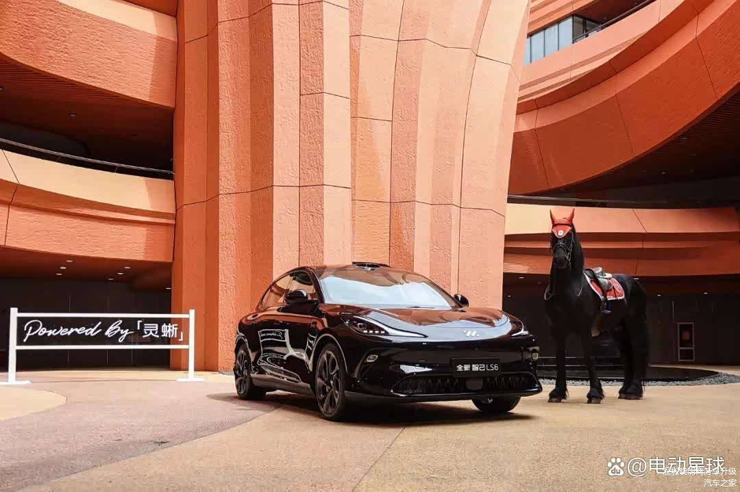 21.69万起,全新智己LS6想把ModelY拉下马