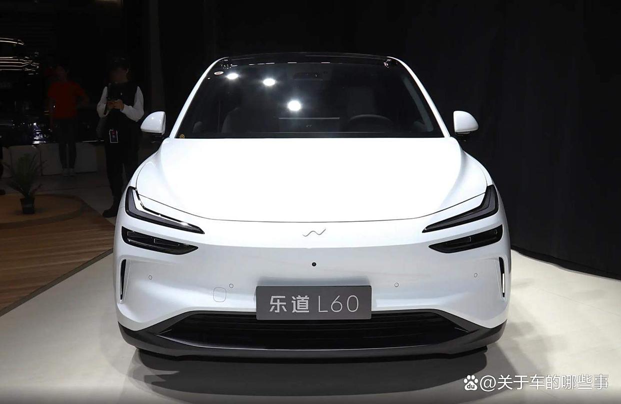 买乐道L60的十大忠告:避坑指南+实用干货,看完少花冤枉钱!