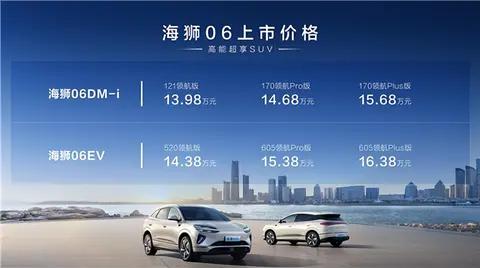 比亚迪海狮06中型SUV上市 提供DM-i与EV